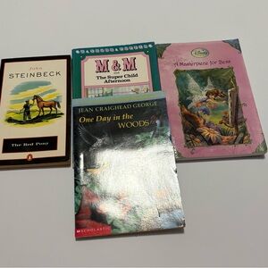 Set of Chapter books (set of 4)